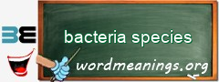 WordMeaning blackboard for bacteria species